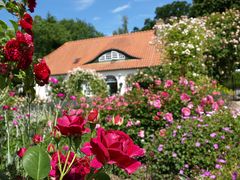 Das Rosarium in Glücksburg