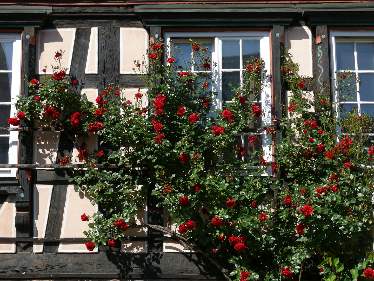  Das Rosenfenster