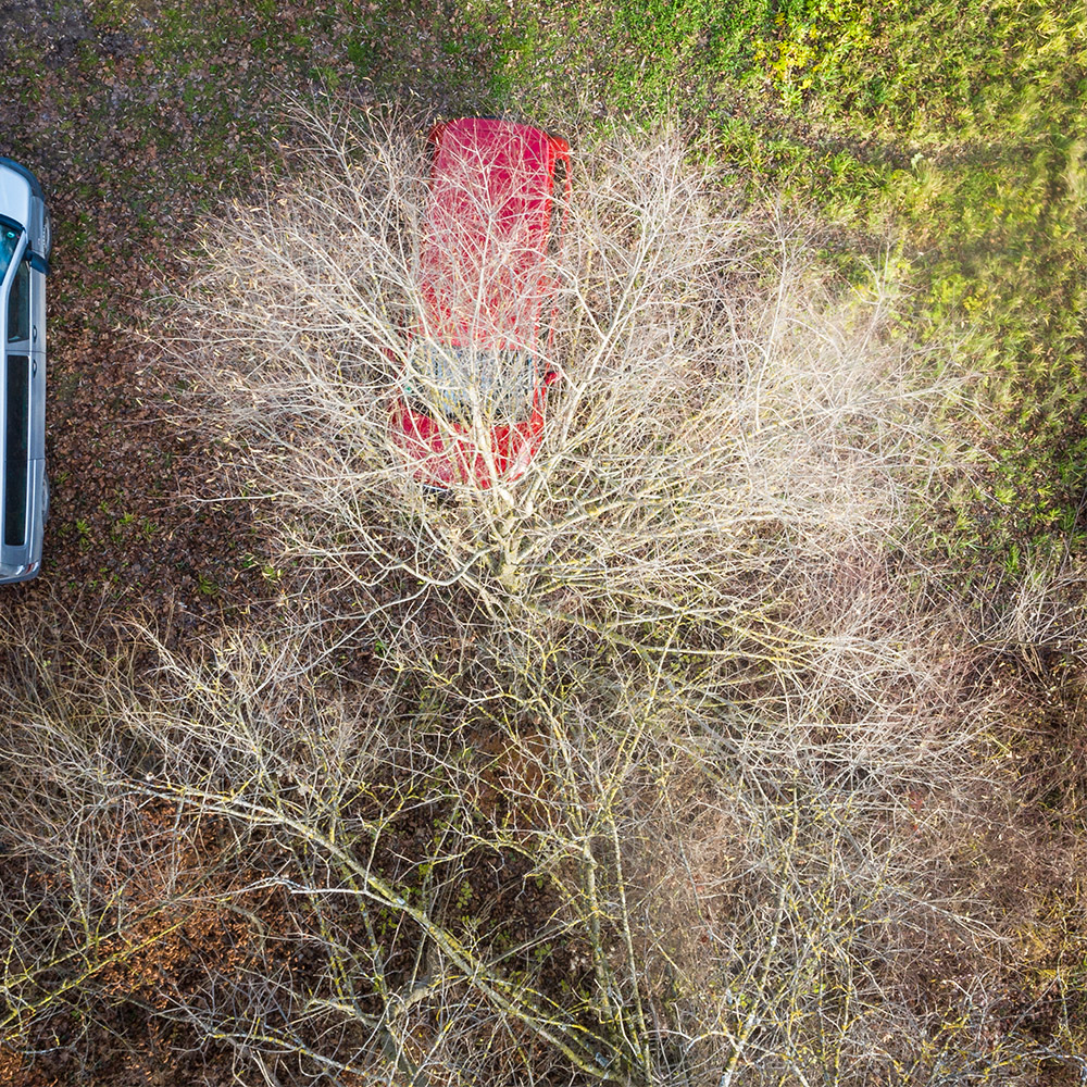 Das rote Auto