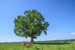 das rote Fahrrad 1