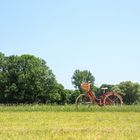 das rote Fahrrad 2