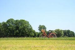 das rote Fahrrad 2