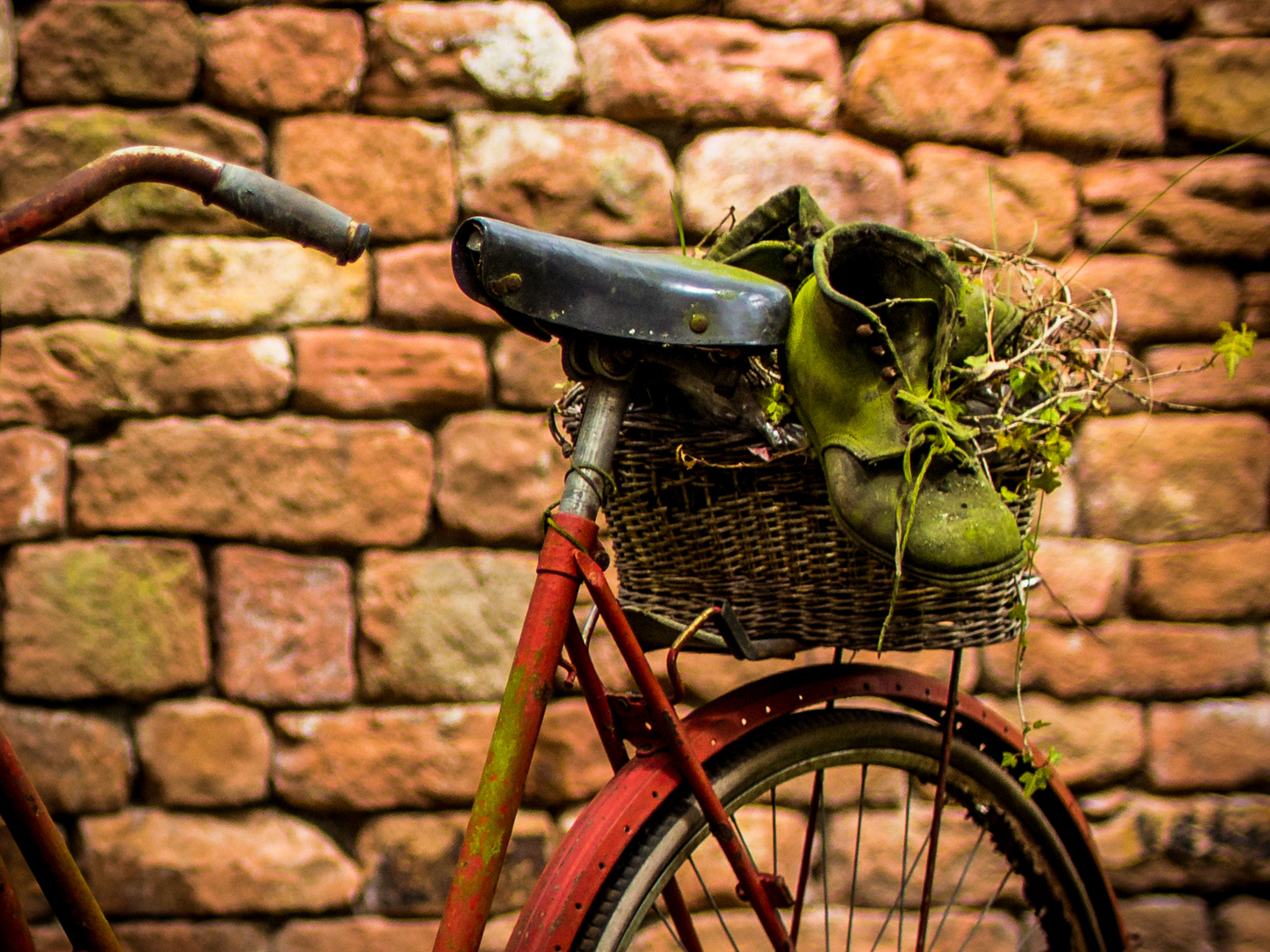 das rote Fahrrad mit den grünen Schuhen