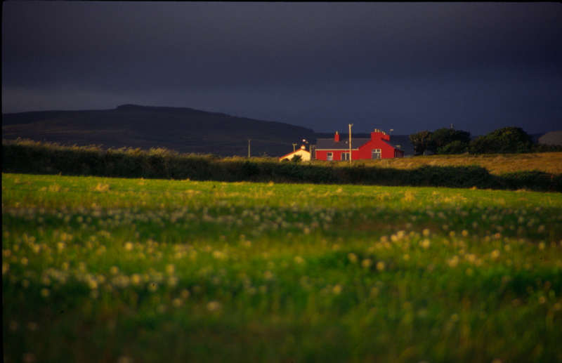 Das rote Haus