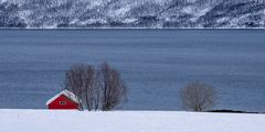 Das rote Haus ...