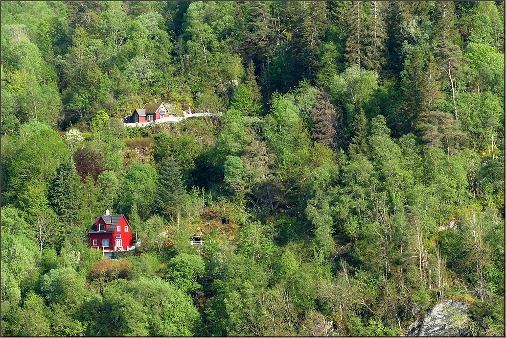 Das rote Haus