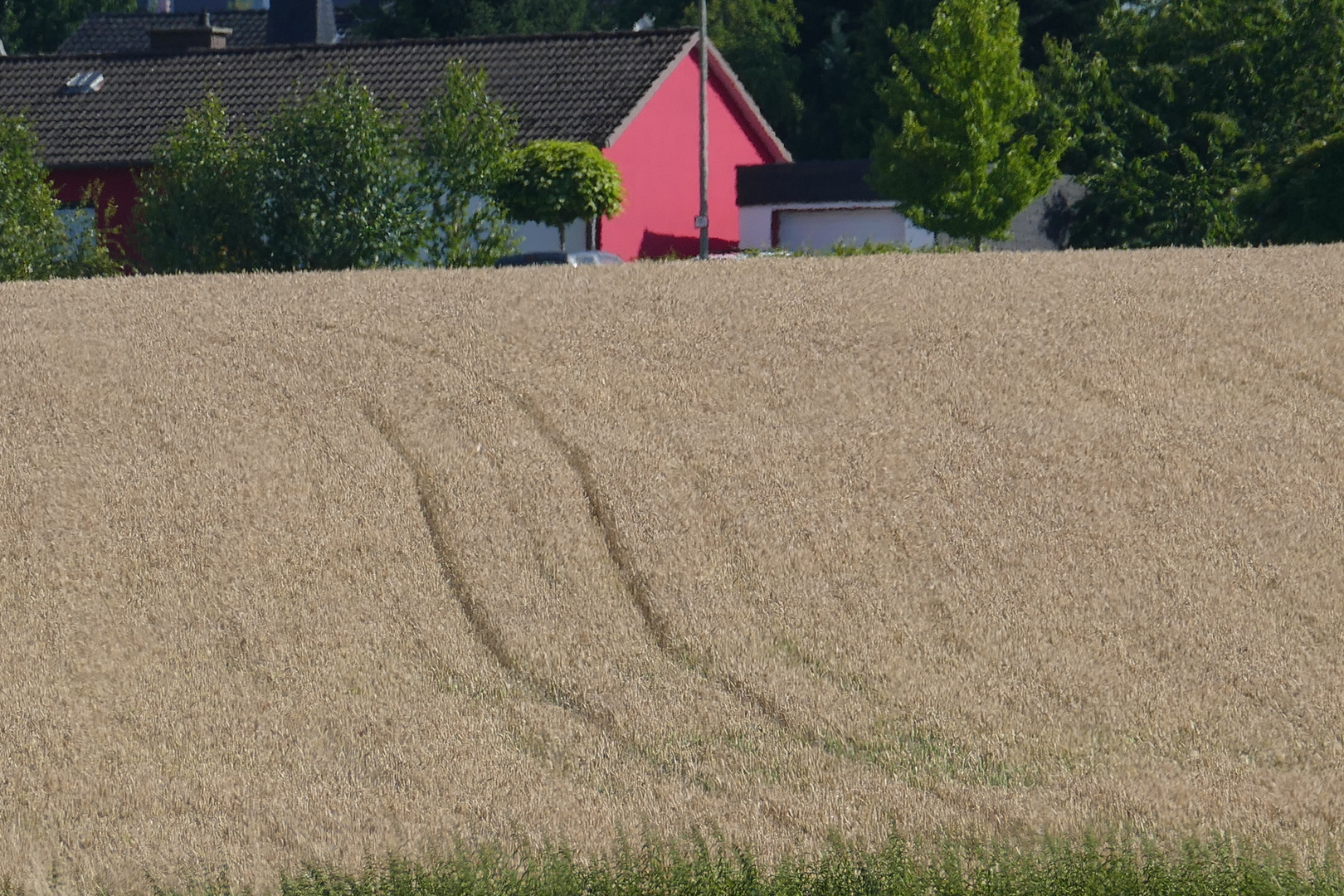 Das rote Haus