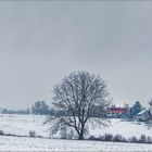 Das rote Haus