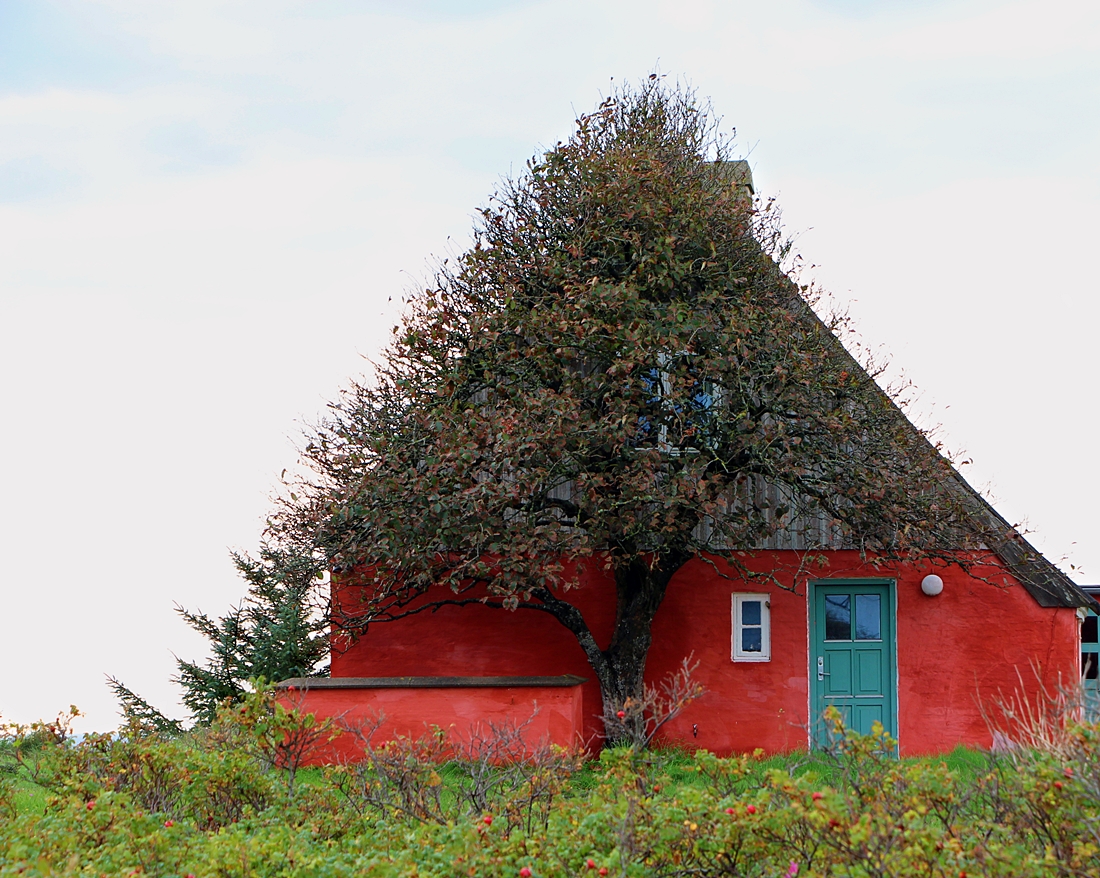 Das rote Haus