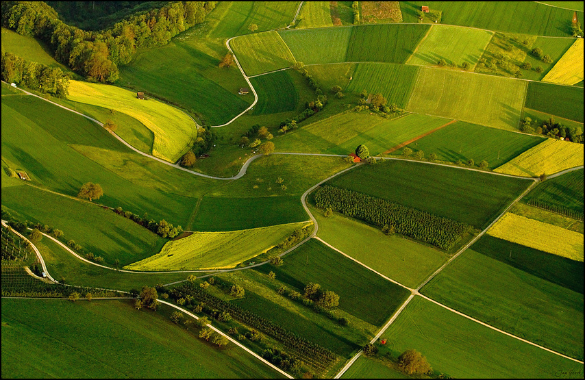 Das rote Haus im grünen Feld