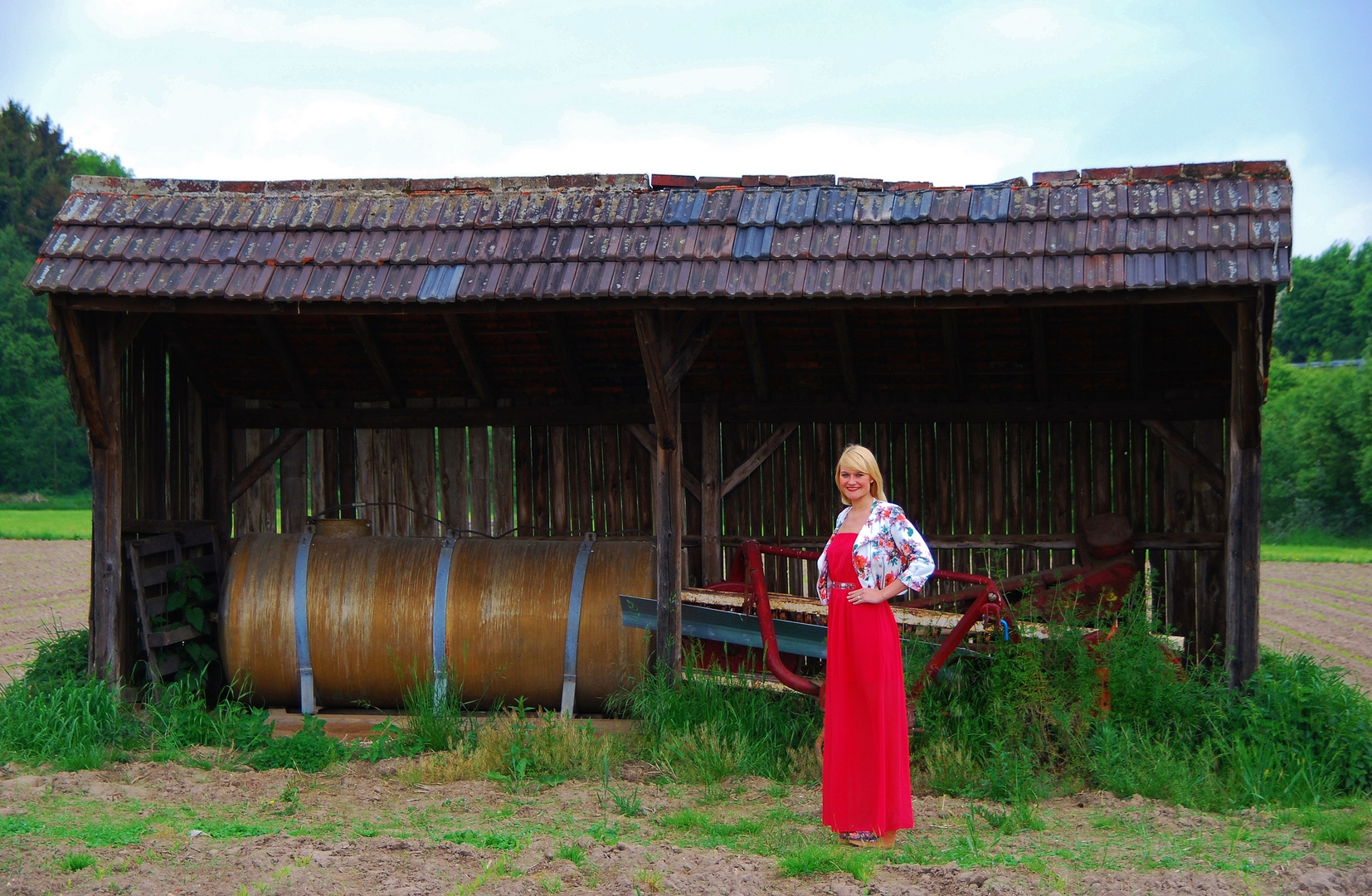 Das rote Kleid I