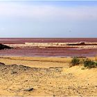 Das rote Meer