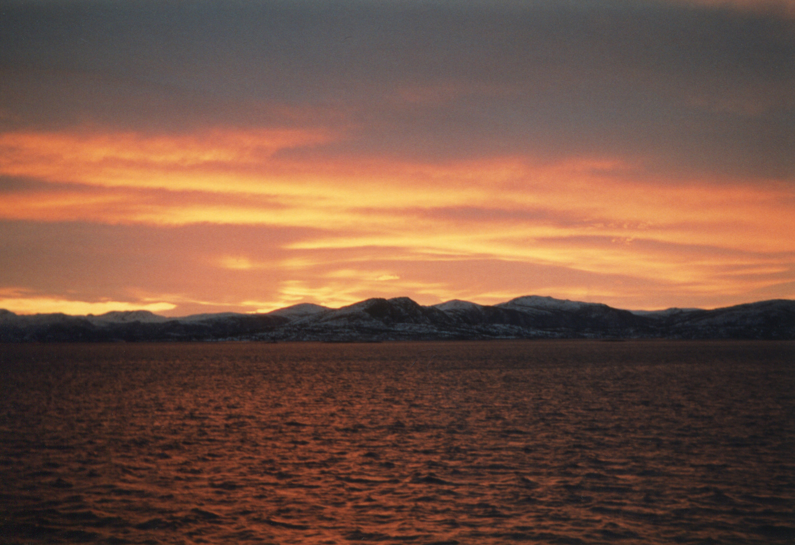 Das Rote Meer vor Norwegen ;-)