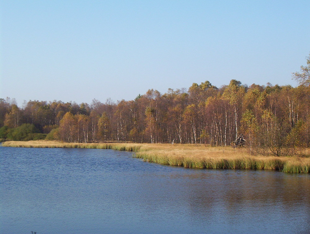 Das rote Moor