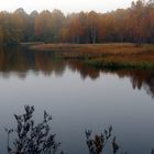 Das Rote Moor im Herbst (Rhön)