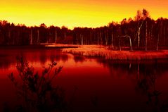 Das Rote Moor in der Rhön