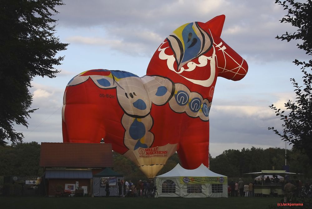 Das Rote Pferd zu Besuch auf Willis Wiese in Gladbeck