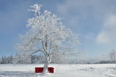 Das rote Sofa