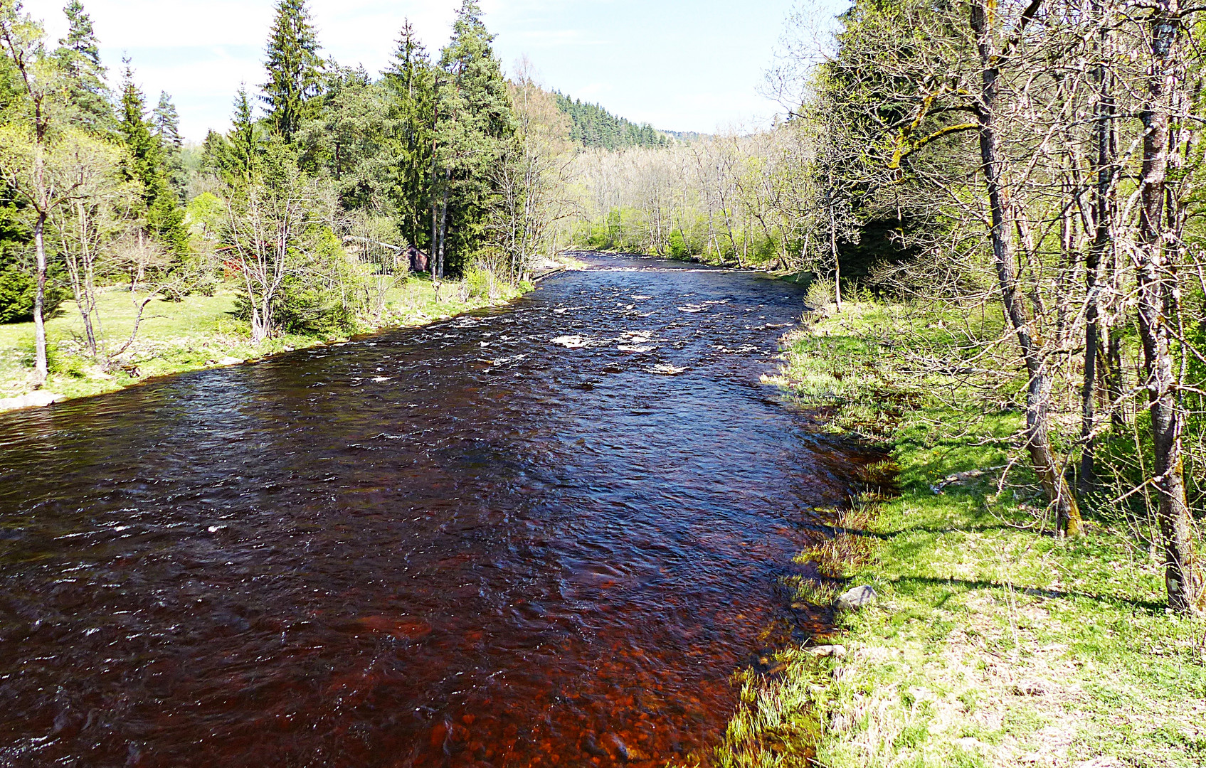 Das rote Wasser der Moldau