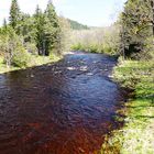 Das rote Wasser der Moldau