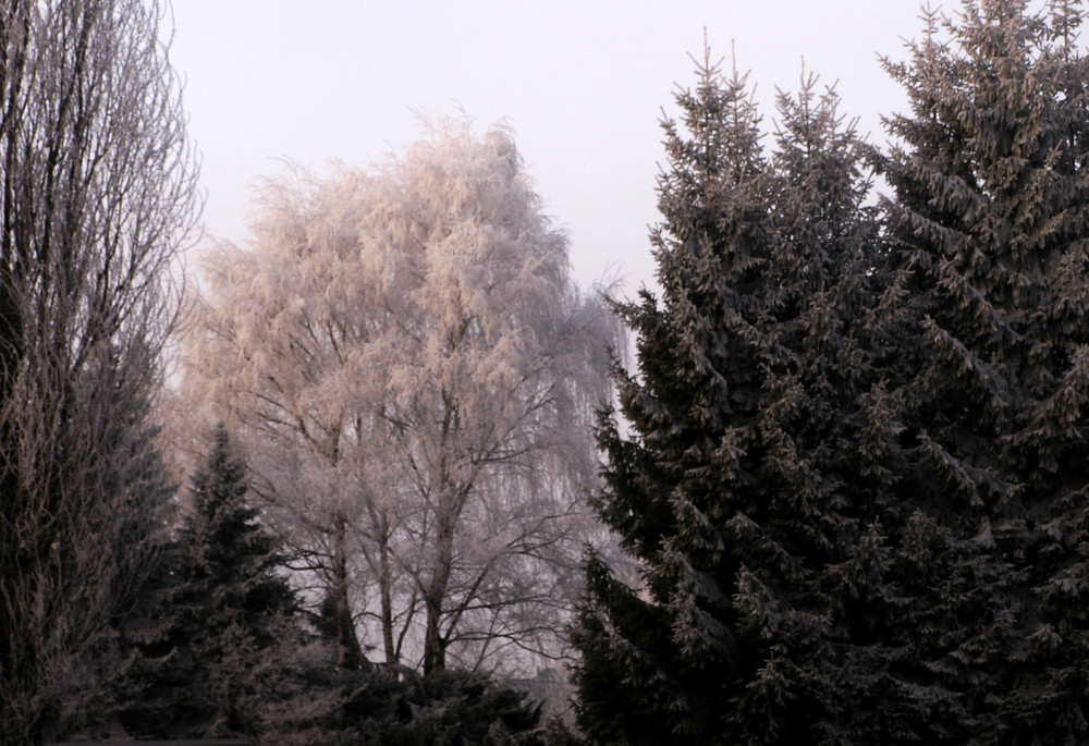 Das Ruhrgebiet 3 Tage vor Weihnachten 6