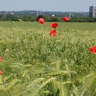 Das Ruhrgebiet - Industrie und Schmutz