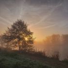 Das Ruhrtal im Nebel (1)