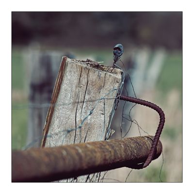 Das Runde muss in das Eckige, 2024