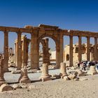 Das Säulenstrasse von Palmyra (Archivaufnahme 2009)