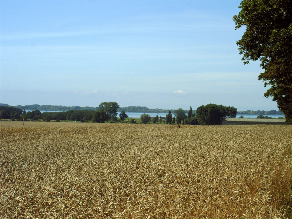 Das Salzhaff