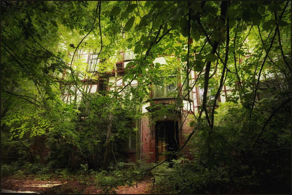 Das Sanatorium im Grünen