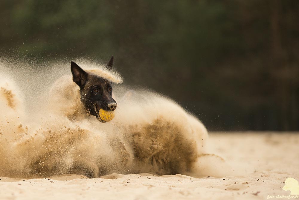 Das Sandmännchen...