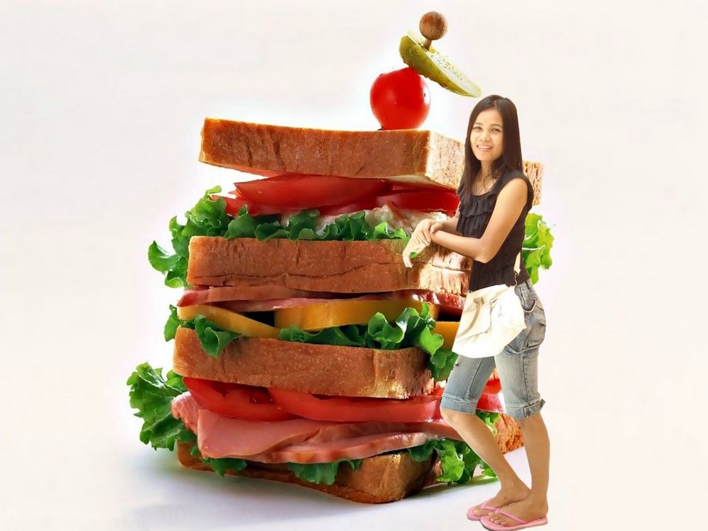 das sandwich