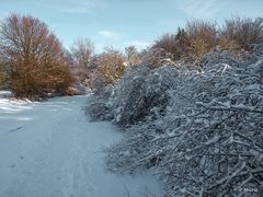 Das Sauerland im Winter