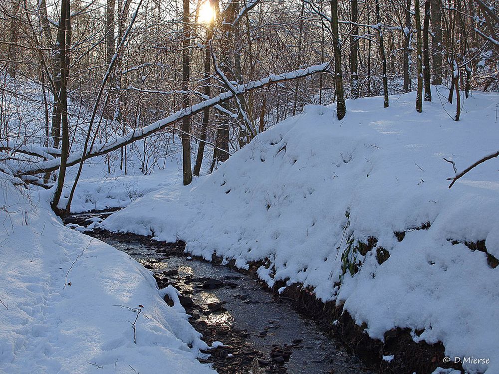 Das Sauerland im Winter