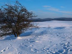 Das Sauerland im Winter