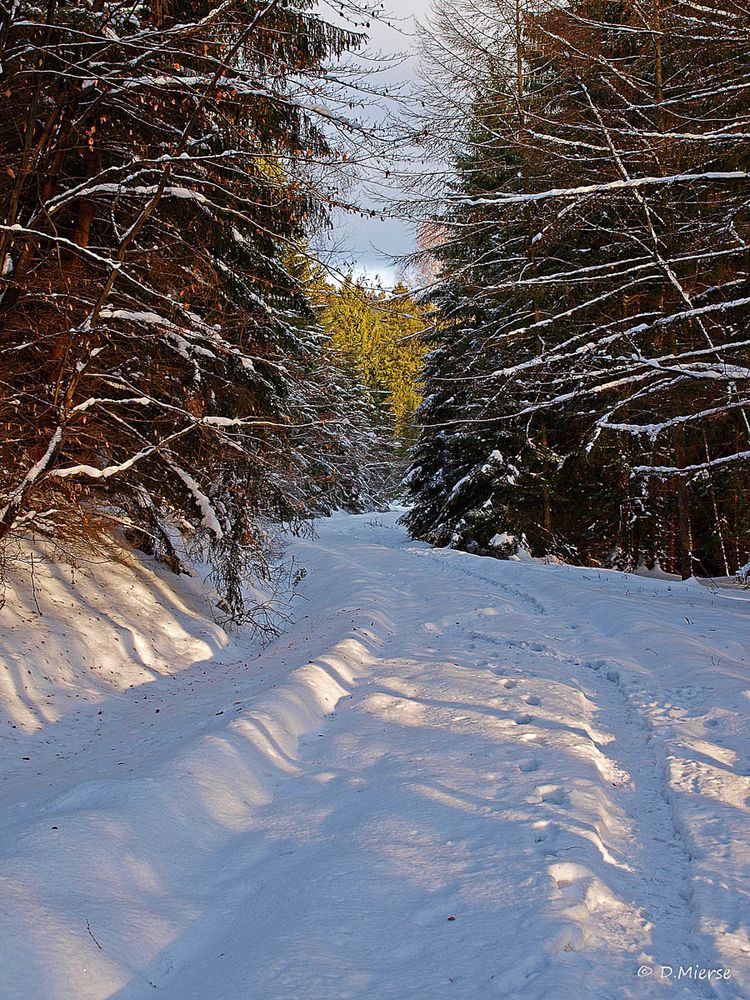 Das Sauerland im Winter