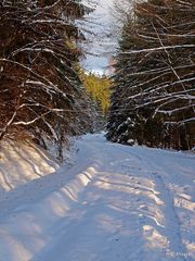 Das Sauerland im Winter