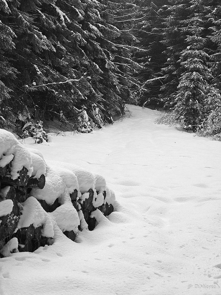 Das Sauerland im Winter