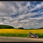 Das Sauerland lädt ein ...