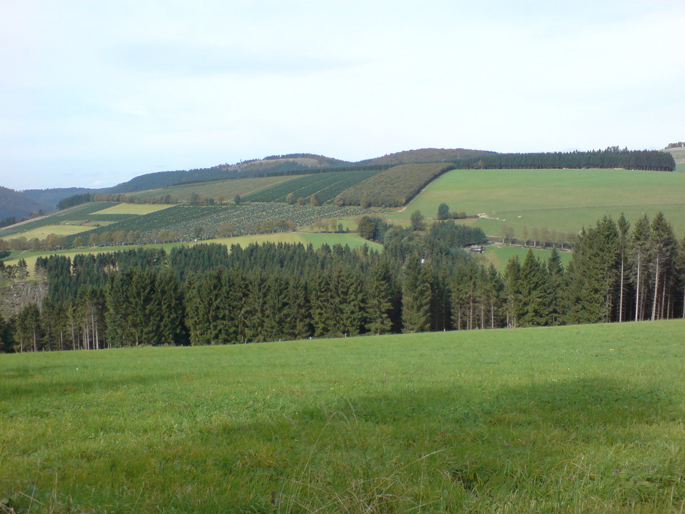 Das Sauerland vom Hohen Knochen aus