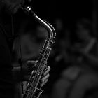 Das Saxophon und seine "Zuhörer"