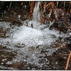 Das Schaumbad ist gerichtet