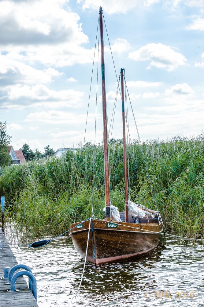 das Schiff im Hafen