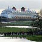 Das Schiff in der Pfütze .... die Disney Fantasy !