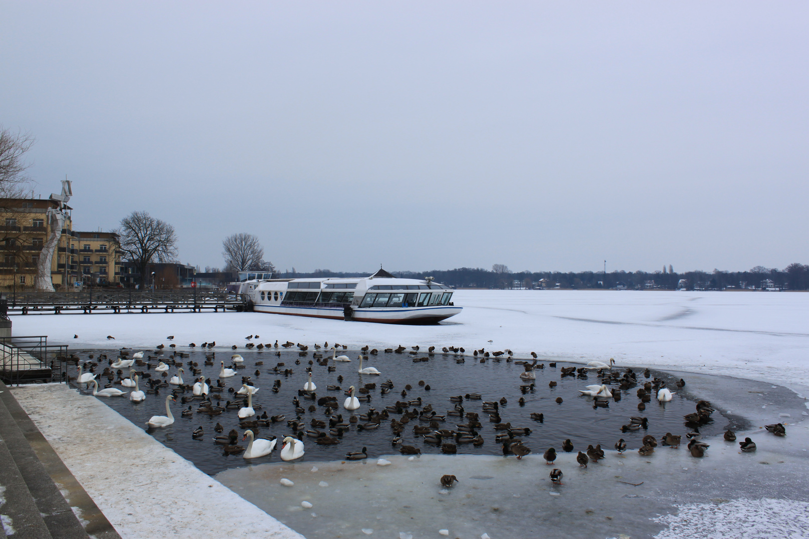 Das Schiff und die Vögel