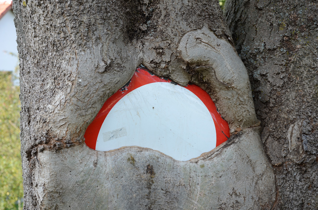 Das Schild dürfte auch schon länger an dem Baum befestigt sein .