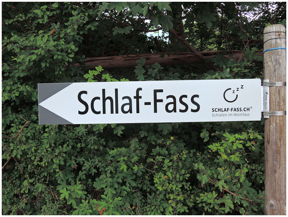 das Schlaf-Fass