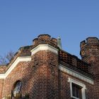 Das Schlangenhaus im Luisium im November 2020 - Bild 6