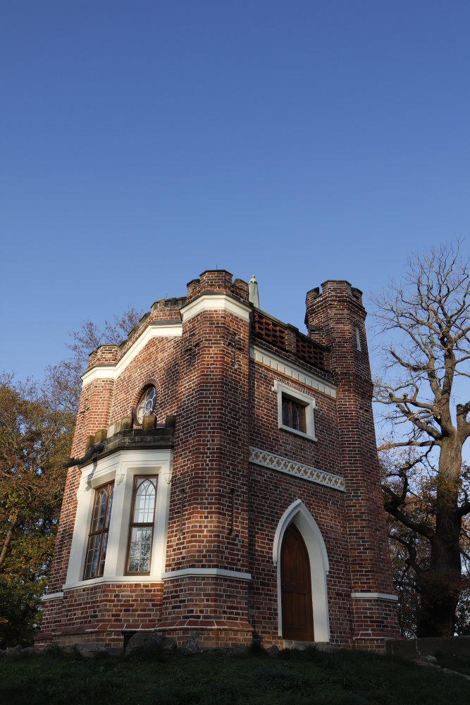 Das Schlangenhaus im Luisium im November 2020 - Bild 7